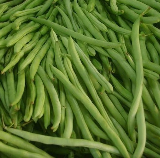 Beans, Beans and More Beans... what beans are best for you and your veggie garden.