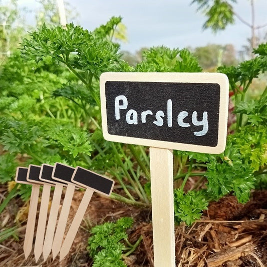 Cheap and Easy Way to Identify your Seeds, Seedlings and Plants