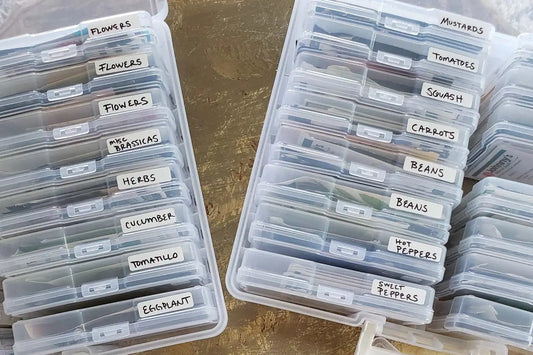 Seed Storage Ideas to keep your vegetable, herb and fruit seeds safe from moisture and heat.