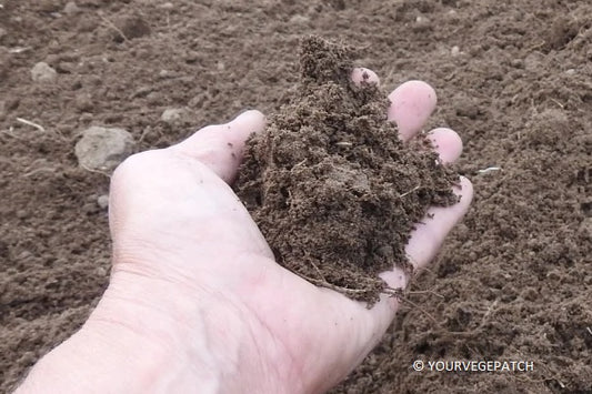 Let's Get into the Dirt - Is Lead a Concern?