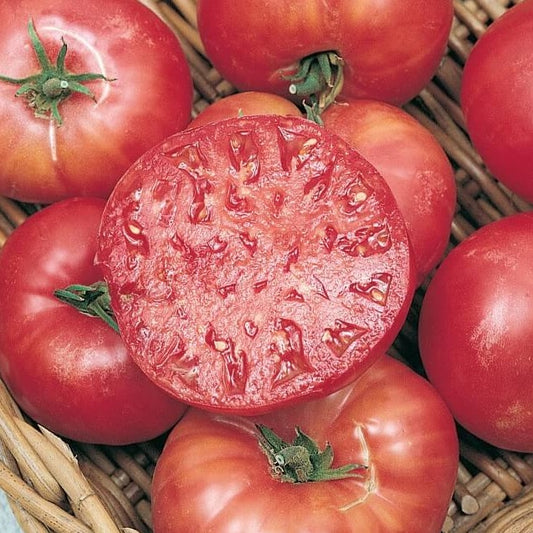 Certified Organic Mortgage Lifter Tomato Seeds. Shop now and buy your heirloom and certified organic vegetable, fruit, flower and herb seeds and get your veggie garden thriving.