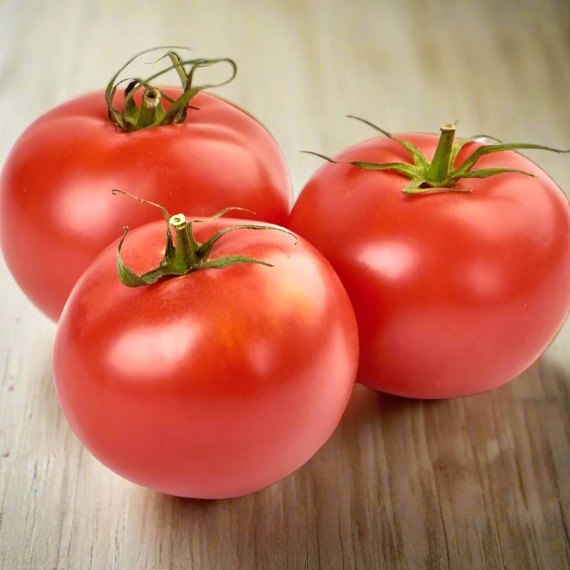 Certified Organic Normans Special Tomato Seeds. Shop now and buy your certified organic tomato seeds and grow your own tomatoes in your veggie garden.