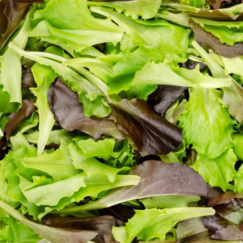 Certified Organic Lettuce Seeds a mix of Brown Romaine, Cos Red and Summer Queen lettuce seeds. Shop now and buy your certified organic and heirloom vegetable, fruit and herb seeds and grow your own food.