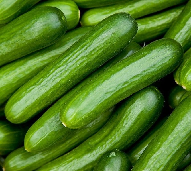 Cucumber Seeds - Lebanese - Certified Organic