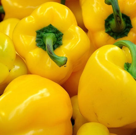 Capsicum Seeds - Yellow Californian Wonder - Certified Organic
