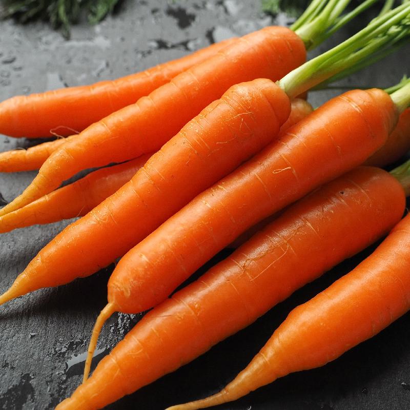 Danvers Carrot Certified Organic Seeds. Shop now and get your vegetable garden growing with our certified organic and heirloom vegetable seeds.