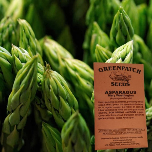 Mary Washing Asparagus Heirloom Veggie Seeds. Shop certified organic and heirloom veggie, herb and fruit seeds.
