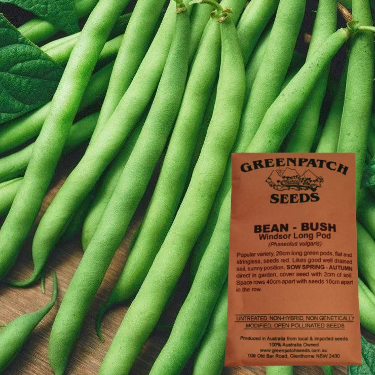 Bush Bean Windsor Long Pod Heirloom Veggie Seeds. Shop certified organic and heirloom veggie, herb and fruit seeds.