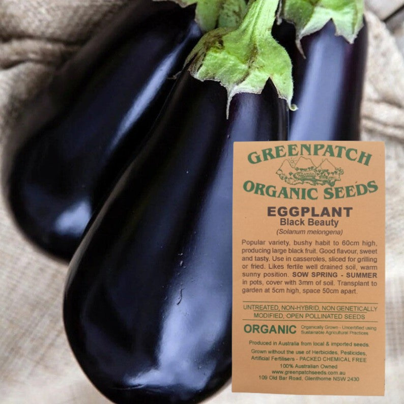 Heirloom Eggplant Black Beauty Vegetable Seeds. Buy your organic and heirloom veggie herb and fruit seeds online today at Yourvegepatch.
