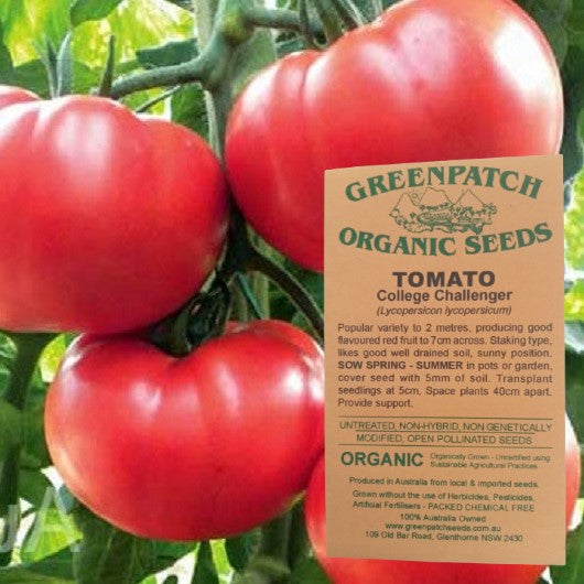 Heirloom College Challenger Tomato Seeds from Greenpatch Seeds. Buy your certified organic and heirloom tomato seeds online today.