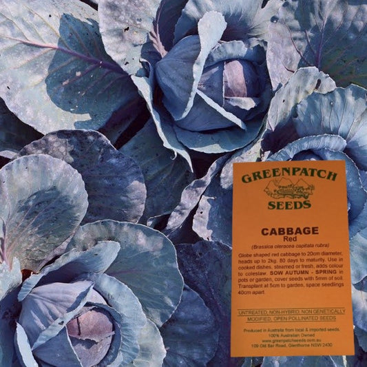 Heirloom Red Cabbage Vegetable Seeds.  Shop Certified Organic and Heirloom Veggie Seeds Now.