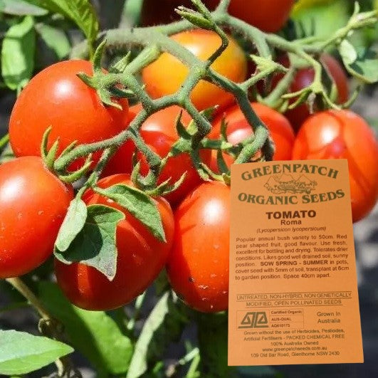 Tomato Seeds - Roma - Certified Organic