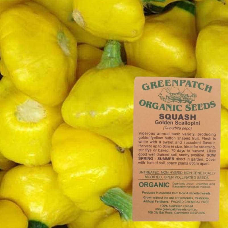 Squash Seed Packet Golden Scallopini Heirloom Vegetable Seeds