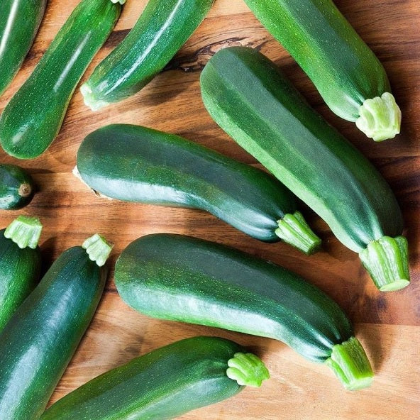 Zucchini Seeds - Black Beauty - Certified Organic