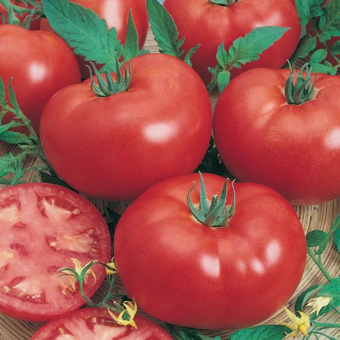 What Tomatoes Suit Your Veggie Patch?