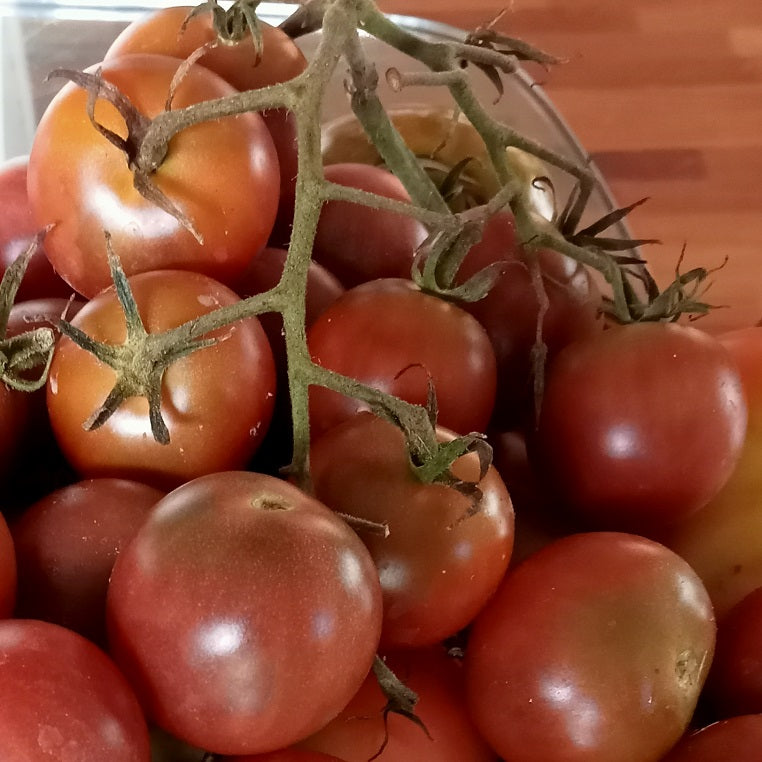 How to preserve your excess tomatoes with this Garlic and Olive Oil Tomato Recipe.