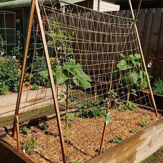 All natural pea and bean jute netting perfect for climbing veggies.