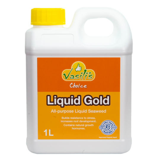 Vasili's Choice Certified Organic Liquid Gold Fertilizer 1 Litre is a professional-grade seaweed extract treatment designed to promote the optimal growth of your garden. Made with freshly harvested Australian Bull Kelp, it is rich in micronutrients and plant hormones known to enhance plant and lawn health.