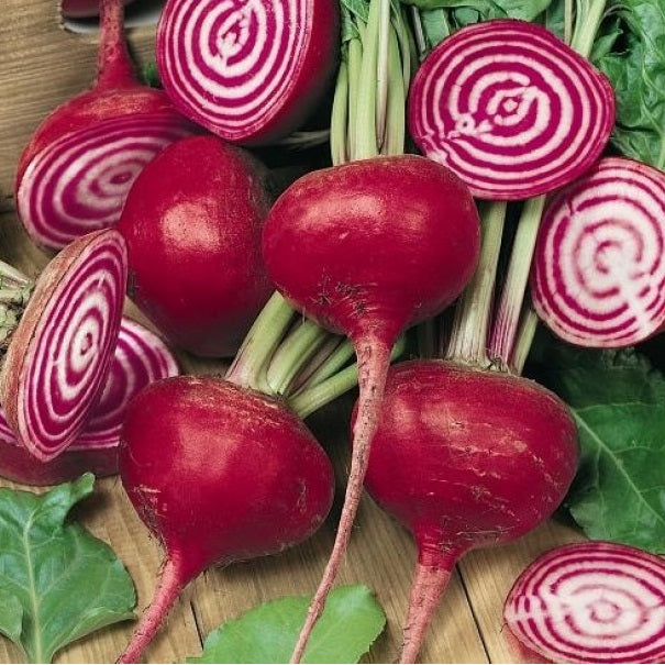 Certified Organic Heirloom Beetroot Seeds.  Chioggia Beetroot is an Italian Heirloom variety. also known as 'Candy Stripe' - having attractive concentric red & white rings. Shop now and buy a range of certified organic and heirloom vegetable, fruit, herb and flower seeds for your vegetable garden at YourVegePatch.