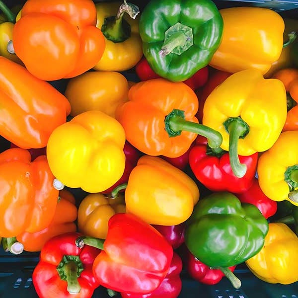 Certified Organic Mixed Capsicum Seeds. Shop now and buy your certified organic and heirloom veggie, herb, fruit and flower seeds and get your vegetable garden growing.
