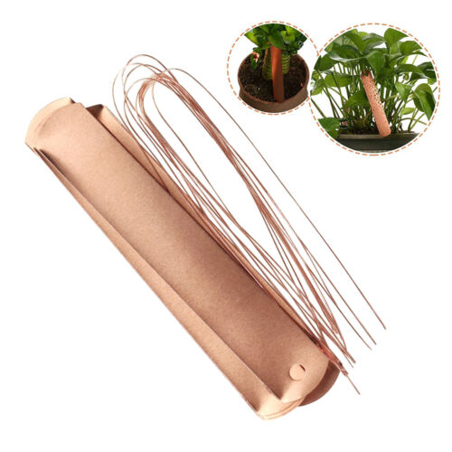 10pk Copper Hanging Plant Signs