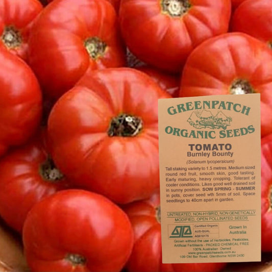 Burley Bounty Certified organic heirloom tomato seeds.  Buy your heirloom tomato seeds online today.