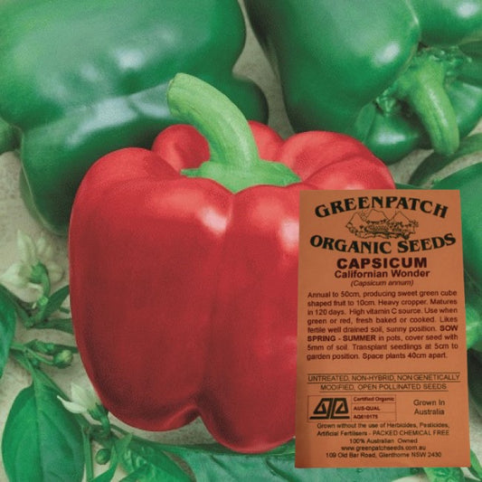 Certified Organic California Wonder Capsicum Chill Seeds. Shop heirloom and organic veggie seeds now.