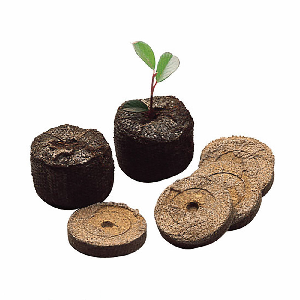 Jiffy Pop-Up Seed Raising Plantable Seed Pot - Pack of 24