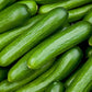 Cucumber Seeds - Lebanese - Certified Organic