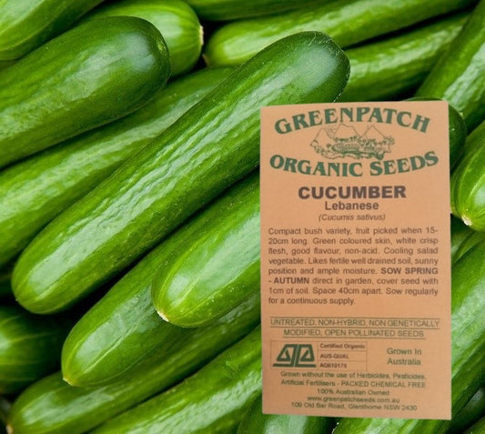 Certified Organic Lebanese Cucumber Vegetable Seeds.  Buy heirloom and vegetable seeds online at YourVegePatch today.