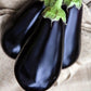 Eggplant Seeds- Black Beauty