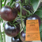 Heirloom Tomato Seeds - Black Russian - Certified Organic