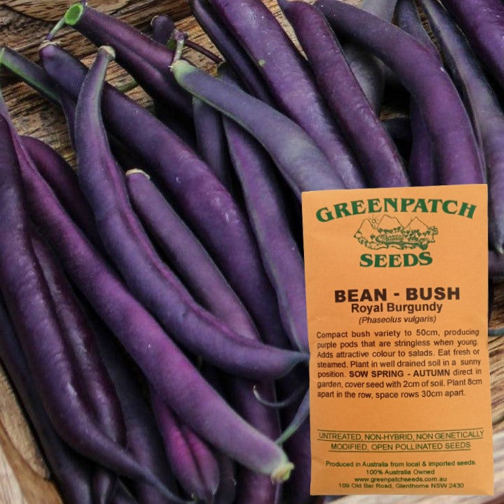 Heirloom Bush Bean Royal Burgundy Vegetable Seeds. Shop and buy your certified organic and heirloom veggie seeds online today.