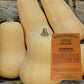 Non-hybrid Heirloom Waltham Butternut Pumpkin Vegetable Seeds