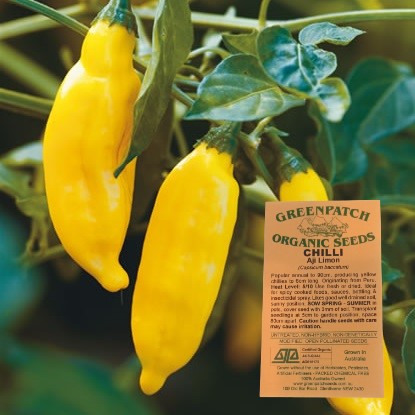 Certified Organic Chilli Seed - Aji Lemon Chilli Heirloom Seeds