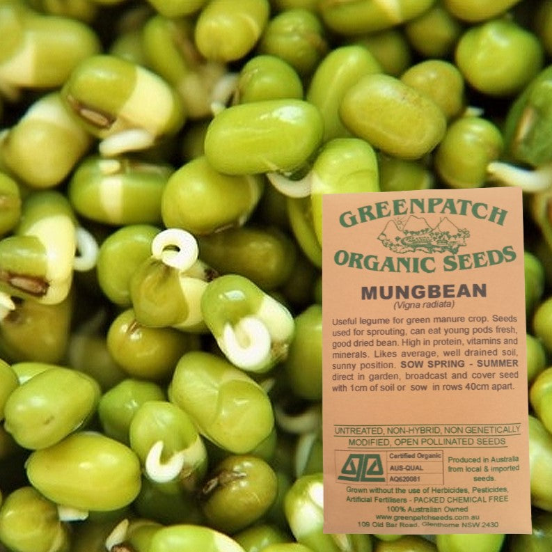 Certified Organic Mungbean Sprouting Seeds. Get your organic and heirloom microgreen seeds online today.