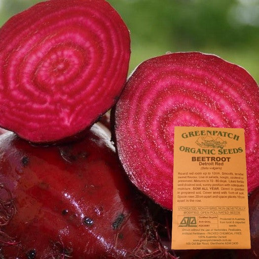 certified organic beetroot vegetable seeds