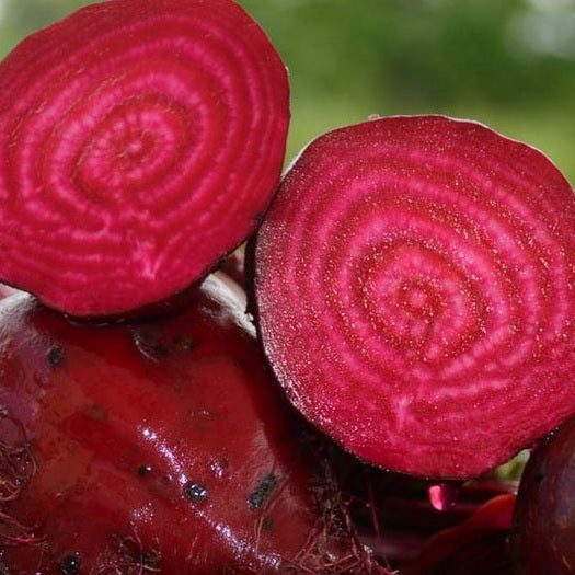 Beetroot Seeds - Detroit Red - Certified Organic