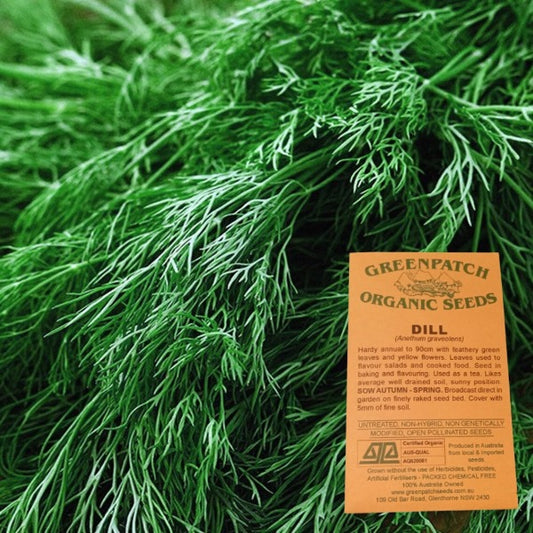 Certified Organic Dill Herb Seeds