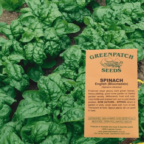 Heirloom English Spinach Vegetable Seeds. Buy your cerrified organic and heirloom vegetable, herb, fruit and flower seeds online at yourvegepatch.com.au.