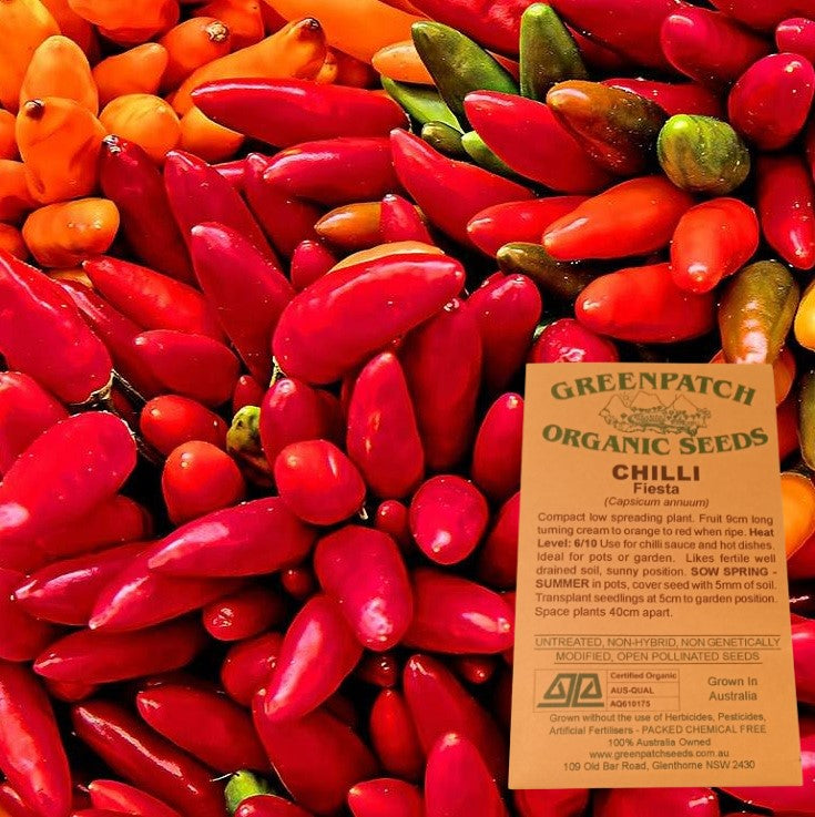 Fiesta Chilli Certified Organic Vegetable Seeds