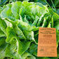 Certified Organic Green Mignonette Lettuce Vegetable Seeds