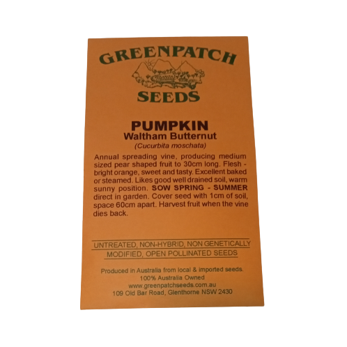 Pumpkin Seeds - Waltham Butternut - Certified Organic