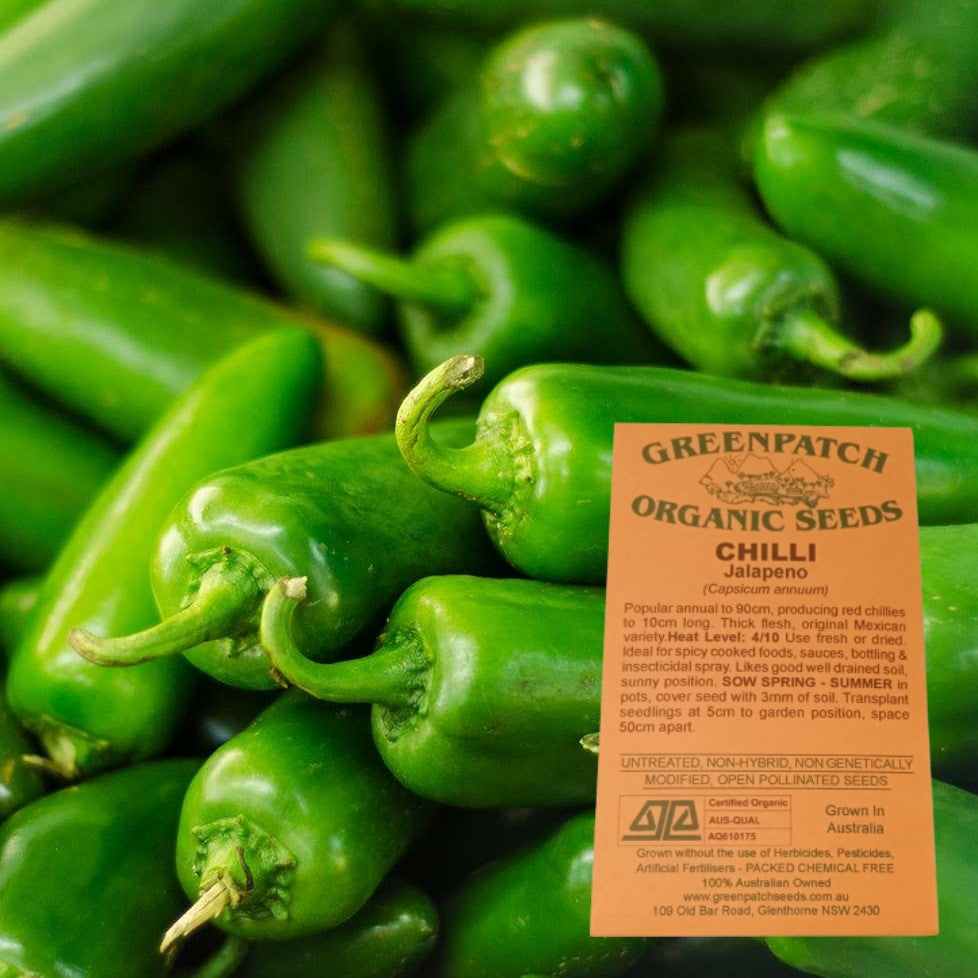 Certified Organic Jalapeno Chilli Vegetable Seeds