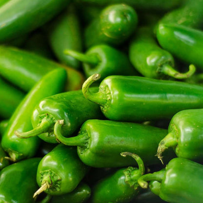 Chilli Seeds - Jalapeno - Certified Organic