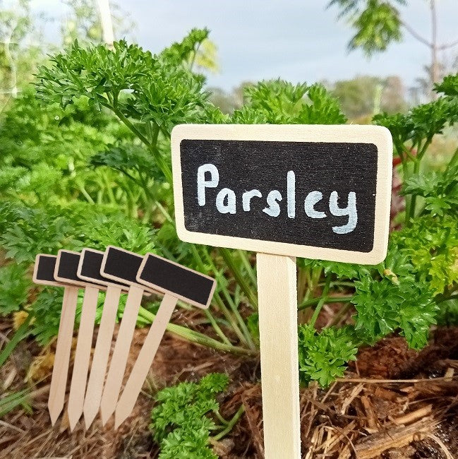 Mini Timber Chalkboard Signs for your plants. pots, seedlings or garden.  Shop now and get your plant signs online today at YourVegePatch
