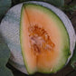 Planters Jumbo Certified Organic Rockmelon Seeds. Shop certified organic and heirloom veggie, herb and fruit seeds.
