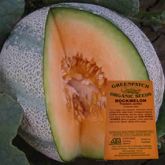 Planters Jumbo Certified Organic Rockmelon Seeds.  Shop certified organic and heirloom veggie, herb and fruit seeds.