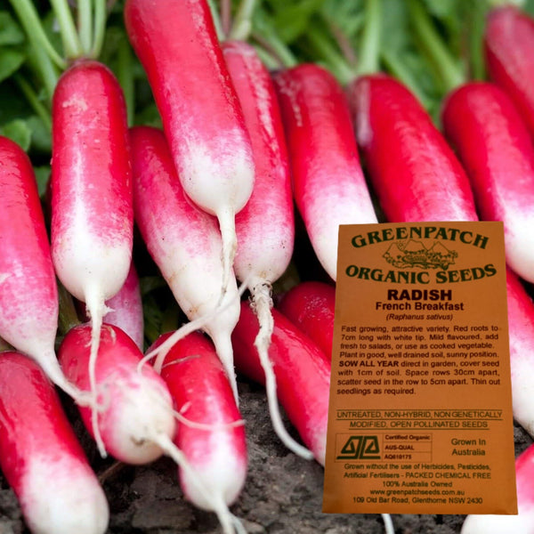 Radish Seed Packet French Breakfast Certified Organic Seeds YourVegePatch
