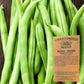 Bush Bean Seeds - Redland Pioneer
